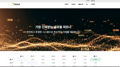 불법 사설 hts 해외선물 이용금지 trenue