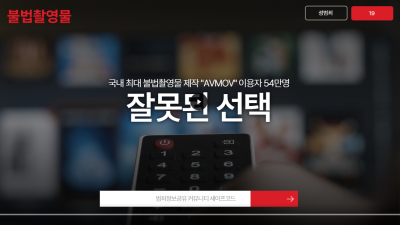 AVMOV 최근 야동사이트 유로 충전 내역 일부 공개